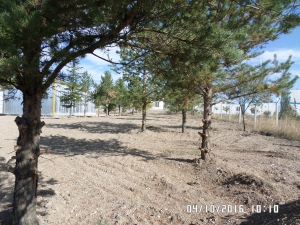 Temelfen Logistics Base Construction Project